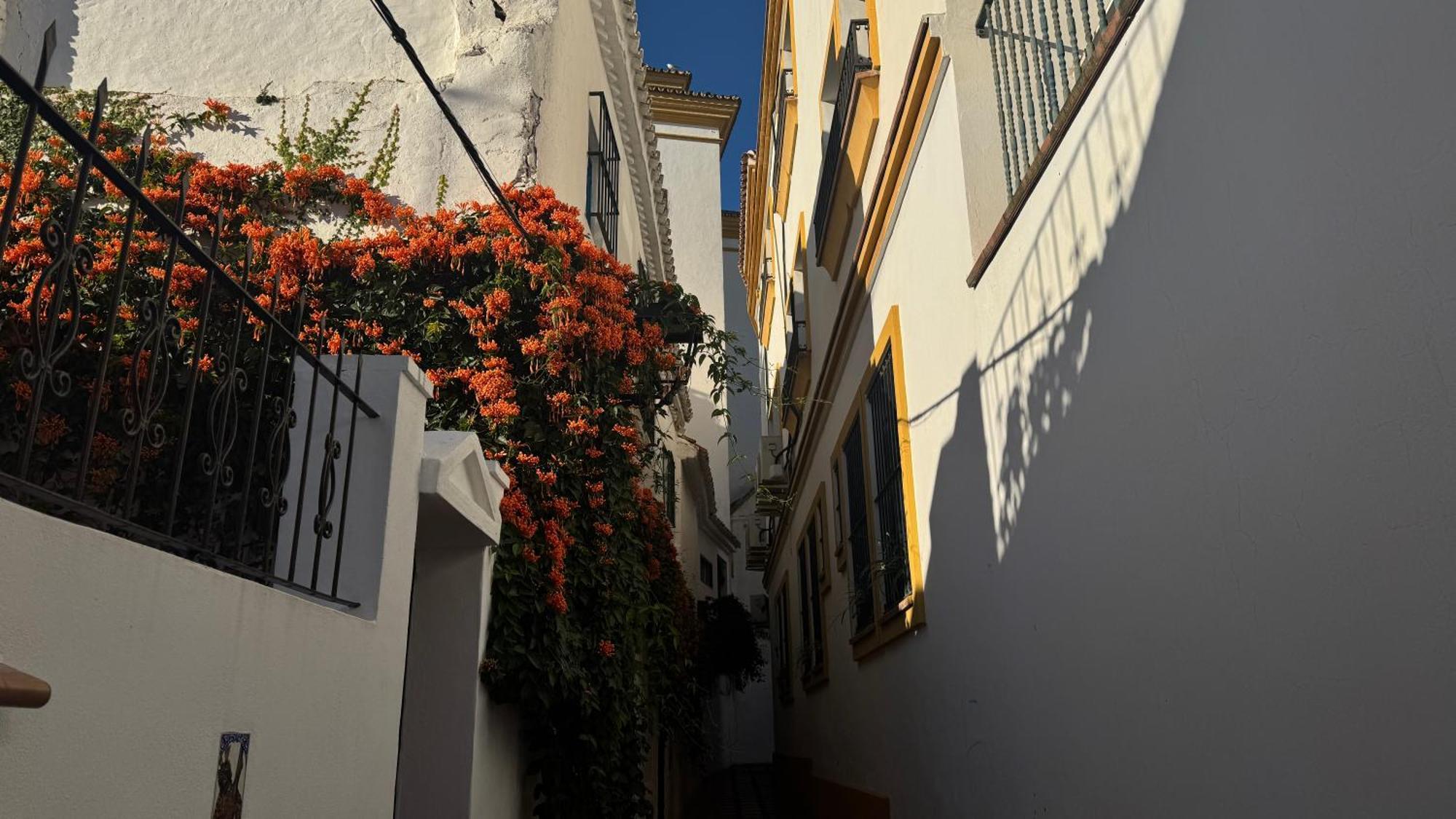 Oasis Jacuzzi Retreat Apartment Marbella Exterior photo